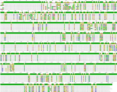 PMA-qPCR method for the selective quantitation of viable lactic acid bacteria in fermented milk